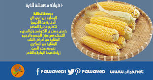 10 فوائد مدهشة للذرة Corn Health Benefits Cooking Health