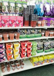 Check spelling or type a new query. Dollar Tree Haul The Best Storage And Decor For Updating Little House Of Four Creating A Beautiful Home One Thrifty Project At A Time Dollar Tree Haul The Best Storage