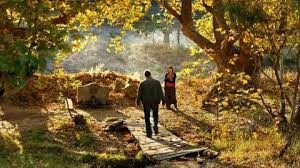 Ahlat ağacı) is a 2018 turkish drama film directed by nuri bilge ceylan. The Wild Pear Tree 2018 Film Trailer Kritik