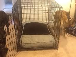 Pj came to us with severe separation anxiety. How To Crate Train A Rescue Puppy With Separation Anxiety B C Guides