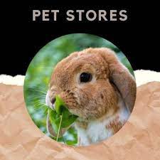 Petfinder has helped more than 25 million pets find their families through adoption. Pet Stores Near Me Best Places And Deals With Online Map