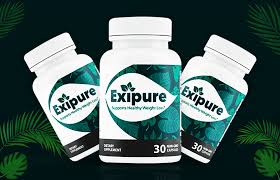 Exipure Reviews: Real Facts Based On Customer Results! -  MarylandReporter.com