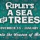 A Sea of Trees at Ripley's Aquarium of the Smokies event in Gatlinburg, TN