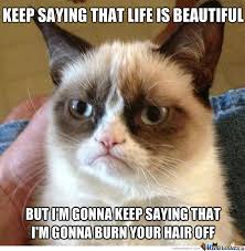 Life Is Beautiful Huh By Lullavy Meme Center