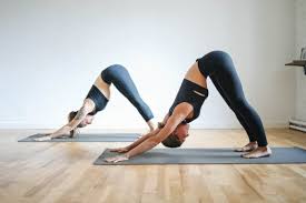 8 Reasons Downward Dog Makes You Nauseous Sita S Yoga