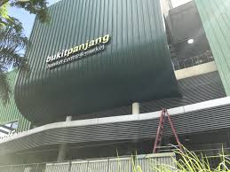 The Ultimate Guide To Bukit Panjang
