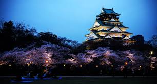 We determined that these pictures can also depict a cherry blossom, japan, osaka castle, sakura, spring. Free Download Osaka Castle Wallpaper Full Hd Pictures 1800x971 For Your Desktop Mobile Tablet Explore 72 Osaka Wallpaper Osaka Wallpaper Osaka Wallpapers