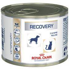Recovery texture makes it easier to use for periodic syringe feeding and tube feeding. Royal Canin Recovery Canine 195 G Hund Hundefutter Und Snacks Tierarztfutter Fur Hunde Fera24 De