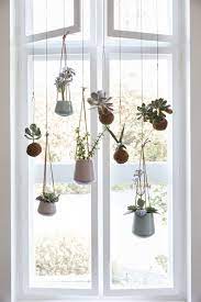 L E A B O Indoor Window Planter Hanging Plants Window Plants