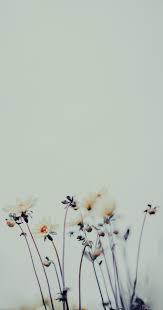 Wallpapers For Iphone 25 Best Floral Wallpapers From Tumblr In 2020 Pink Wallpaper Iphone Minimalist Wallpaper Flower Wallpaper