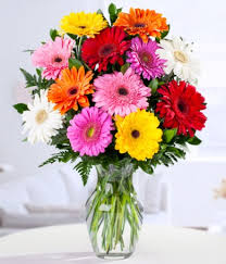 We would like to show you a description here but the site won't allow us. Send Flowers To Envigado Flower Delivery In Envigado Daflores Com