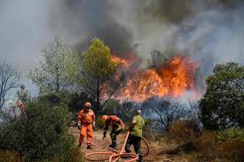 Le muy est située dans l'est du département du var, à 13 km de draguignan, 20 de fréjus et 75 de nice. Xoswpyxf6xeb M