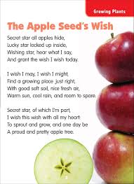 Apple Poem Poetry Science From Science Poems Flip Chart