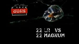 22 Lr Vs 22 Magnum Clear Ballistics Comparison