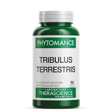 Image result for Tribulus terrestris