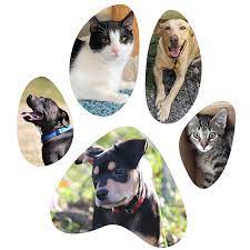 Find great deals on ebay for rescue tails. Home Pet Tales Rescue