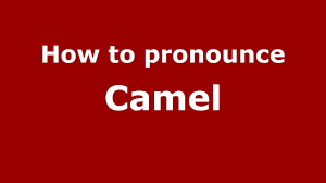 What's the french translation of camel? How To Pronounce Camel French France Pronouncenames Com Youtube