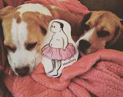 Learn how to know if your dog is hurting. 5 Ways Dogs And Pets Help You Cope When You Have Cancer