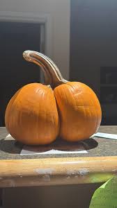 Image result for fat ass pumpkin
