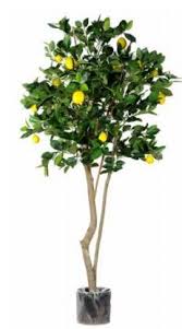 350cm large artificial orange lemon tree. Artificial Silk Lemon Fruit Tree Just Artificial