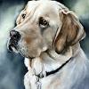 Belle & whistle is uk based, with a team of graphic designers working hard on creating pawsome pet portraits. 3