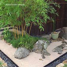 Sublime Sukiya Academy Frederique Dumas Niwaki And Japanese Gardens Frederique Dumas Japanese Garden Plants Small Japanese Garden Japanese Garden Design