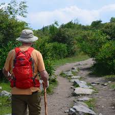 Today, the park is known for its fishing opportunities. Holliday Lake State Park Campground Lyh Lynchburg Tourism