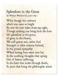 Splendour In The Grass Poem William Wordsworth Poetry Art Etsy Splendour In The Grass Poems Literary Quotes