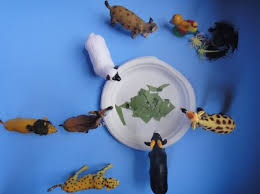 What Do Animals Eat Preschool Project Preschool Projects Homeschool Crafts Pets Preschool