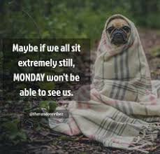  31 Happy Funny Sunday Quotes Ideas In 2021 Sunday Quotes Sunday Morning Quotes Funny Quotes