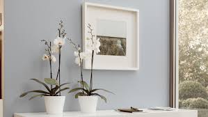 For a space that s anything but expected pair gray walls with pops of color. Futuristic Pink And Grey Rooms Ideas Dulux