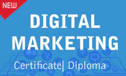 digital marketing institute for beginners