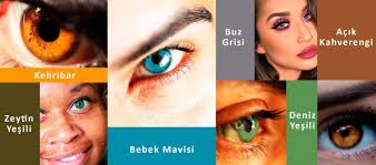 Kehribar Buz Grisi Deniz Yesili Bebek Mavisi Bebek Mavisi Yesil Kehribar