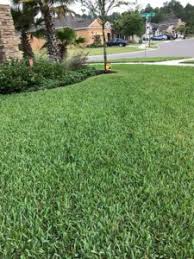 This list will help you pick the right pro lawn service in jacksonville. Trutco Lawn Care Services In Jacksonville Fl