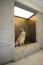 Pin On Pet Pics Diy Inspiration