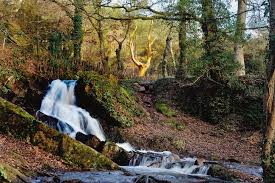 A Broceliande Sur Les Traces De Viviane Morgane Et Merlin Foret De Broceliande Broceliande Chateau De Comper