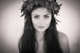 Fondo Hermoso De Las Violetas Muy Hermosas Color Y Composición Hermosos  Viola Imagen de archivo