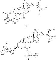 Image result for Klainedoxa