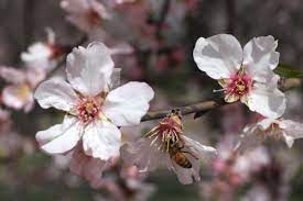 We did not find results for: Cuando Empieza La Primavera 2021 Dia Y Hora Del Equinoccio Ciencia