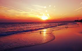 Flowers fog and sunrise m. Beach Sunset Hd Wallpapers Top Free Beach Sunset Hd Backgrounds Wallpaperaccess