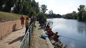 Text n vigoare ncepnd cu data de 16 mai 2016. Aqua Crisius Beitrage Facebook