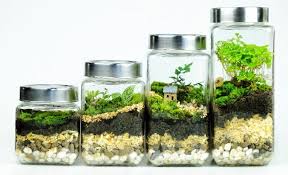 Terrarium Soil Layers And Their Functions With Pictures Smart Garden Guide Soil Layers Beautiful Terrariums Garden Guide