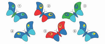 Visual discrimination is a key skill for children to learn in order to ensure later reading success. Visual Processing Explained Visual Discrimination