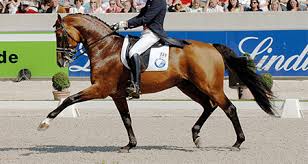 An expression critical of committees — or by analogy. Horsemagazine The Horse Magazine Page 4