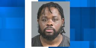 Ladson man accused of weapons violations, crimes against animals