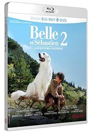 Record and instantly share video messages from your browser. Amazon Com Belle Et Sebastien L Aventure Continue Francia Blu Ray Movies Tv