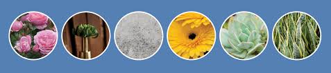Maybe you would like to learn more about one of these? Farm2florist Wholesale Fresh Floral Premade Flower Bouquets