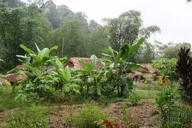 Our Uninvited Guest When We Returned After Dinner Picture Of Ecolodge Panhou Village Ha Giang Tripadvisor