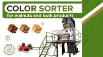 Color Sorter: Sorting for Walnuts and Bulk Products