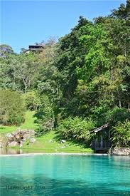 Datanglah berkunjung ke suunah koruss resort ketika bercuti di janda baik. Enderong Resort Nice Natural View Swimming Pool Fresh Air Janda Baik Mempunyai Spektrum Spesis Melihat Pemandangan Hutan Hujan Tertua Permainan Tradisional Seperti Congkak Tanarimba Janda Baik Little Farm The Hill Villa